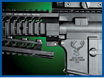 stagarms2.gif