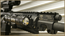 adams-arms2.gif