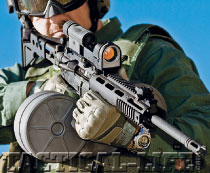 para2.jpg