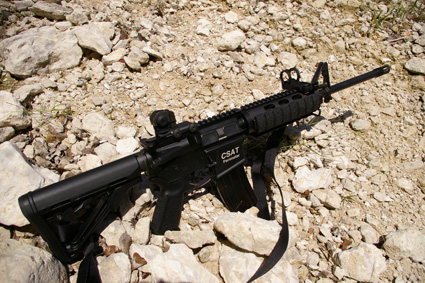 dpms-csat-perimeter