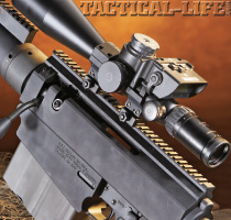 bushmaster1