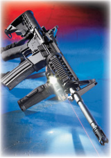 dpms2