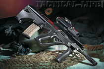 swm_p-steyr-lead