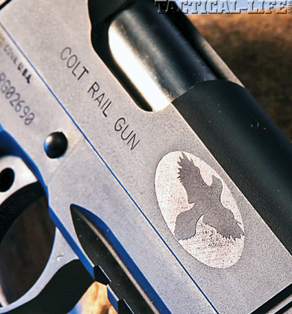 colt-rail-gun-b