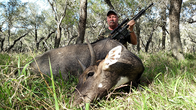 bill wilson ar hunting 338 federal rifle