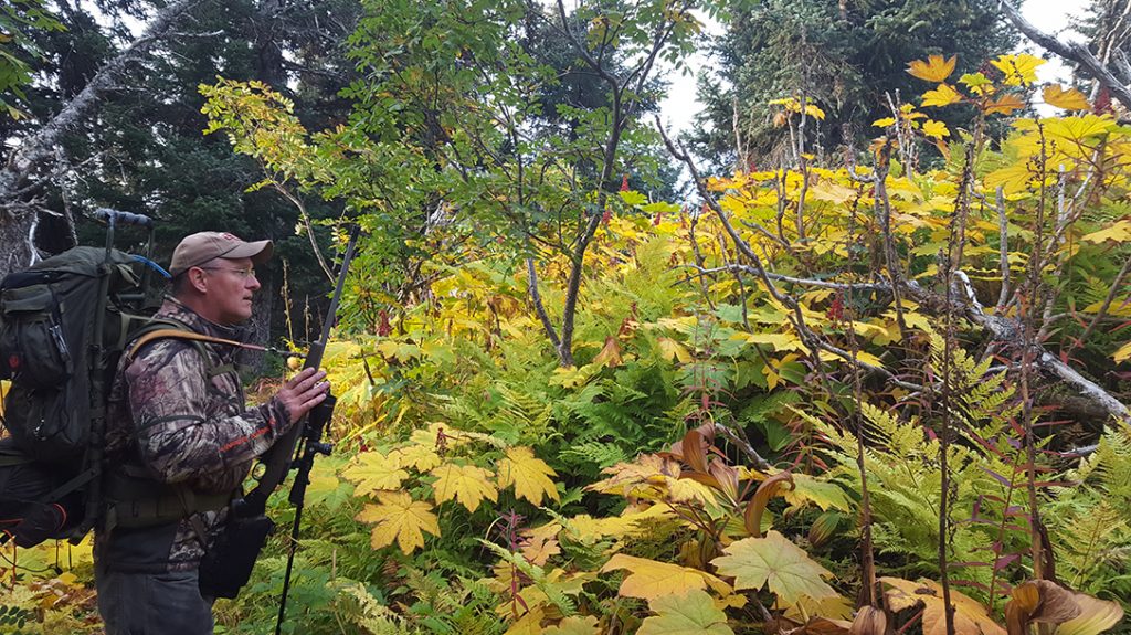 Hunting in Alaska, 6.5 prc rifle