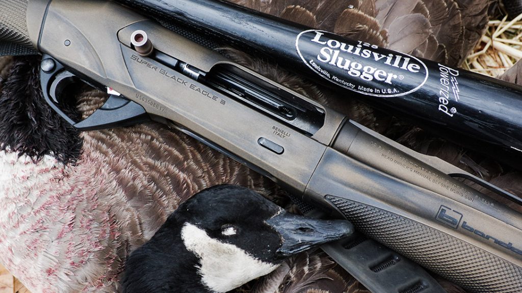 A Benelli Super Black Eagle and Brandon's Louisville Slugger alongside a freshly harvested Canadian Goose.