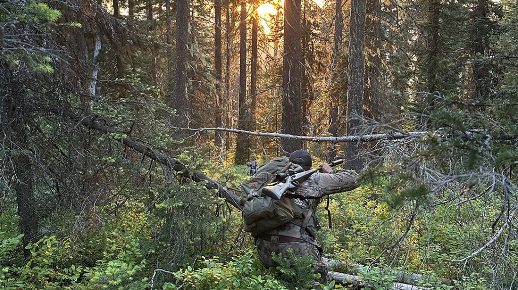 Stalking the woods on a hunt.