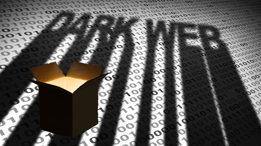 Of course, people online continued to unbox more and more wild boxes for views, which leads us to the Dark Web Mystery Box.