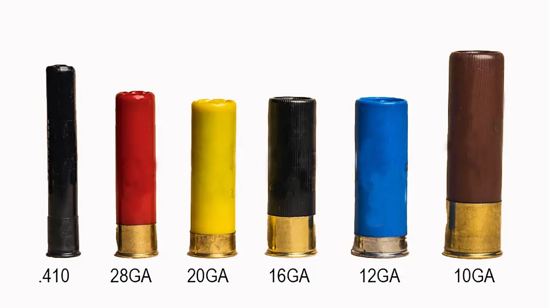Understanding the difference shotgun gauges.