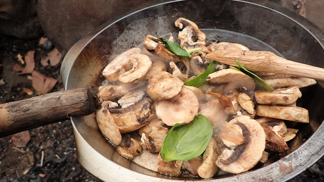 Turn a heavy-duty pie tin into a frying pan by notching a sturdy stick to use as a handle.