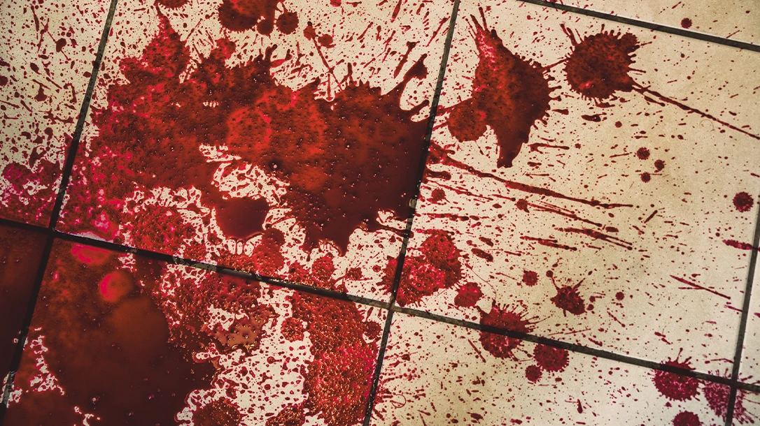 Blood splatter patterns reveal crucial insights about the crime scene dynamics.