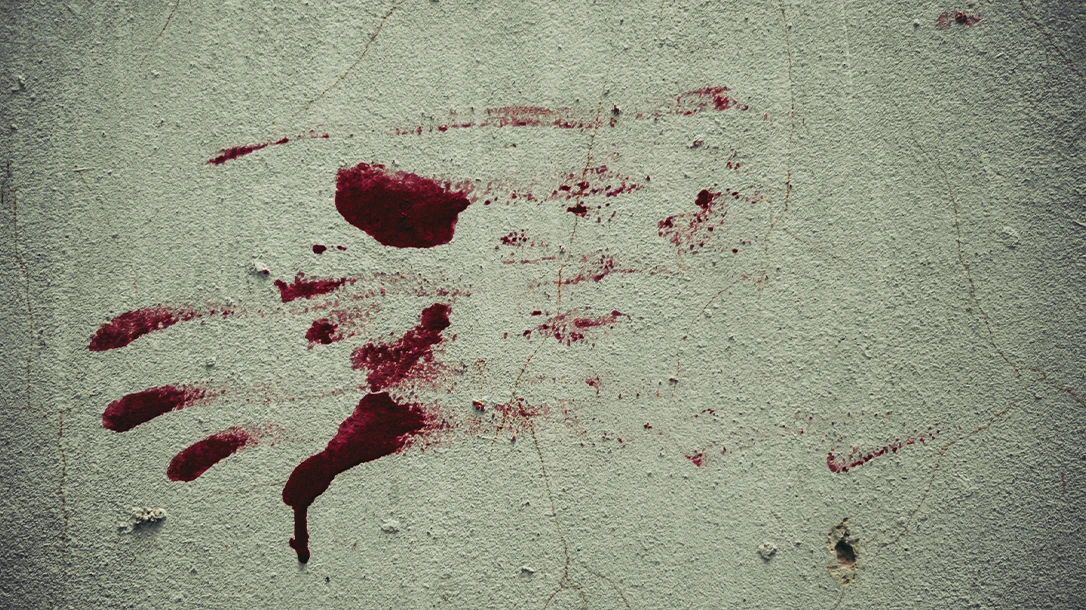 A deadly crime scene.