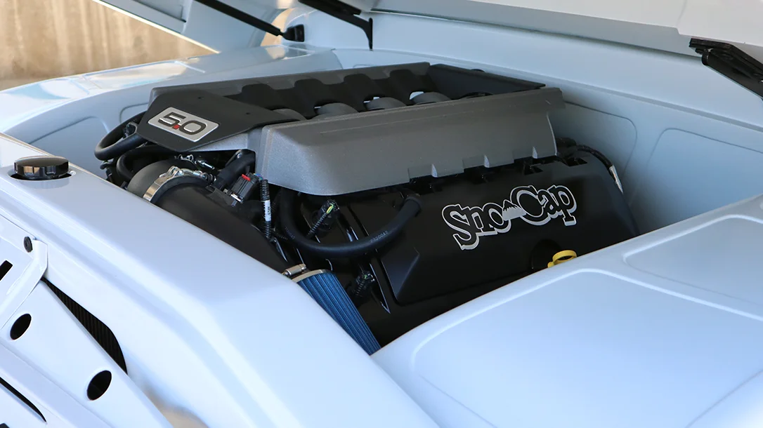 Clean engine bays are the way to go at the Reunion.