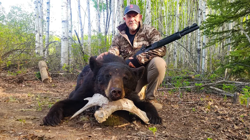 Bear number one.