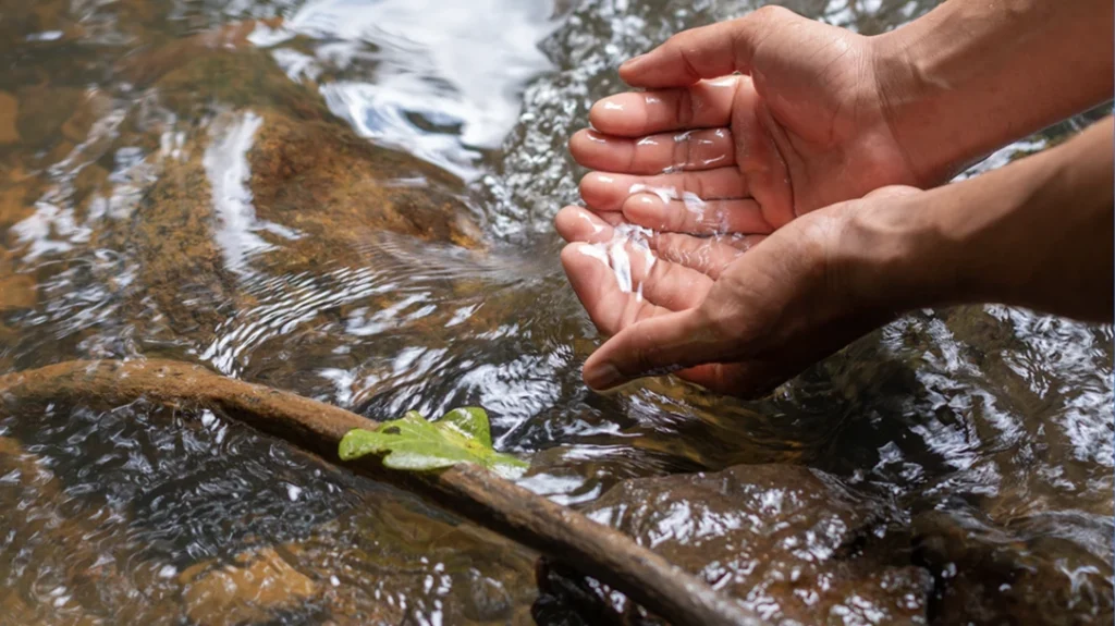 Survival Water