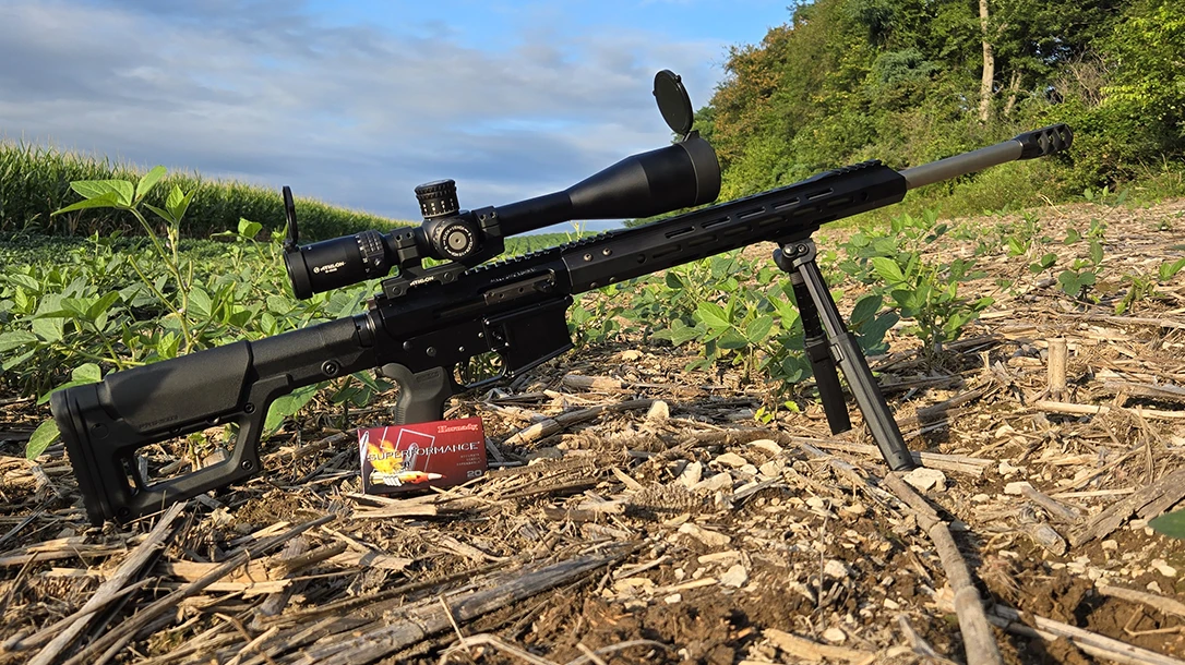 AR-15 Varmint Powerhouse